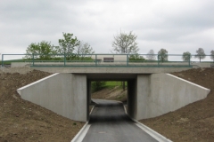 Bahnbrücke-Imat-am-28.04.2009-I-Copy