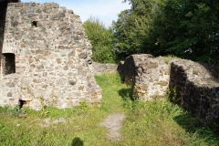 Burgensanierung