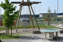 Kletterspinne