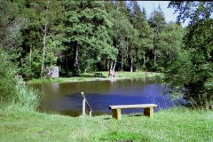 Notzenweiher_W-Copy