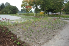 Parkplatz_o-Copy